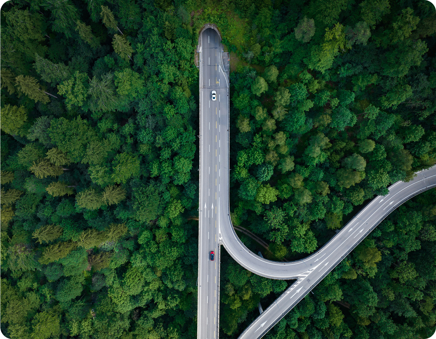 Ana Sayfa seo uzmanı ile web tasarım